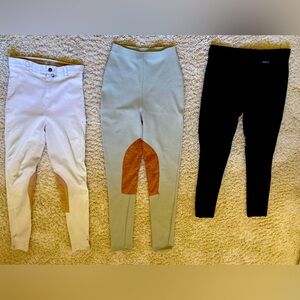 Lot of Women's Equestrian Riding Pants